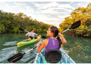 Florida Estate Parks